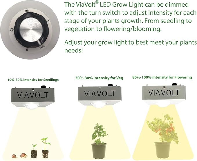 Grow Light 6500K Full Spectrum Cree COB LED 65 Watts12000 Lumens