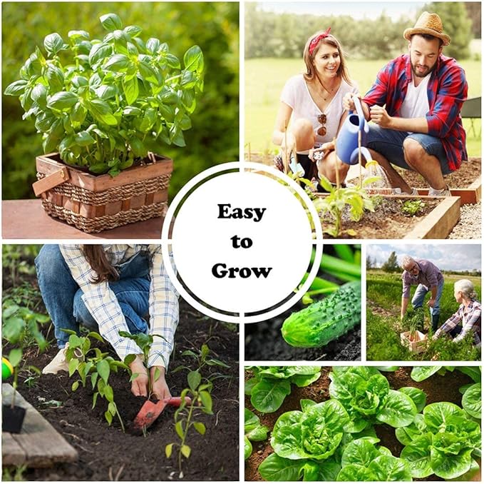 Instant Garden Heirloom Vegetable Seed Collection 15 Variety Non GMO Heirloom Garden Vegetable Herb Seeds - Tomato Pepper Lettuce Carrot Kale Basil &amp More