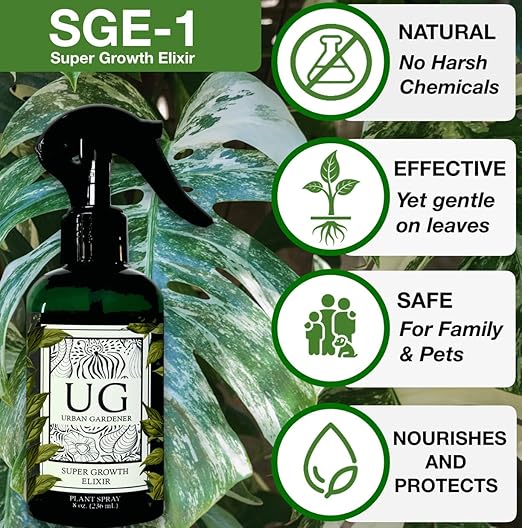 Organic Leaf Wellness Spray for Plants - Protect &amp Nourish Your Plants w/Chitosan Yucca Extract Liquid Kelp and Essential Oils - 8 oz House Plant Spray Bottle