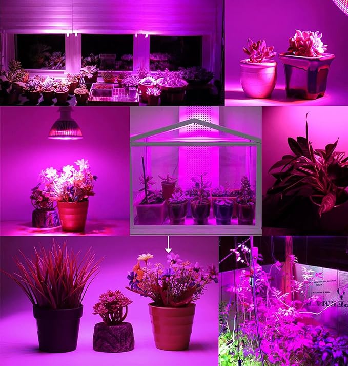 Plant Grow Lights Bulb200 LEDs Red and Blue Spectrum LED Indoor Plants Lights for Growing Seedling Vegetative Fruiting and Flowering. Pack of 4