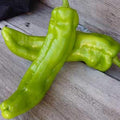 Organic Anaheim Hot Chili Pepper - 1 OZ ~3360 Seeds - Organic Heirloom Non-GMO Open Pollinated Vegetable Gardening Seeds - AKA: New Mexico Chili or New Mexican Chili