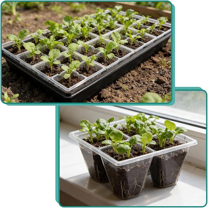 40 Pack Reusable 4-Cell Seed Starter Trays with Large Drainage Holes - Clear Transparent Trays for Root Growth Monitoring Avoids Overwatering Easy Transplant Fits Standard 1020 Trays