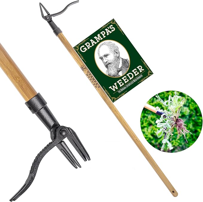 Grampa's Weeder - The Original Stand Up Weed Puller Tool with Long Handle - Made with Real Bamboo &amp 4-Claw Steel Head Design - Easily Remove Weeds Without Bending Pulling or Kneeling.