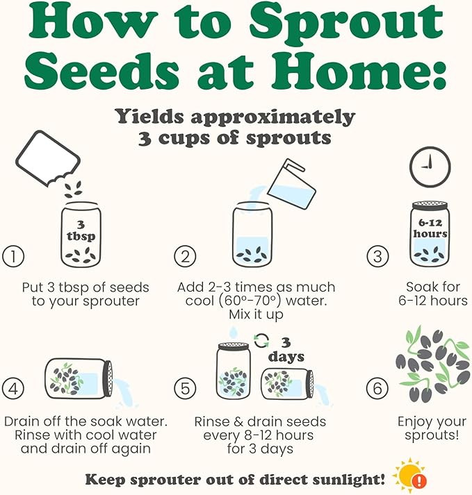 Food to Live - Spicy Mix of Sprouting Seeds 1 Pound - Broccoli Radish Alfalfa Kosher Raw
