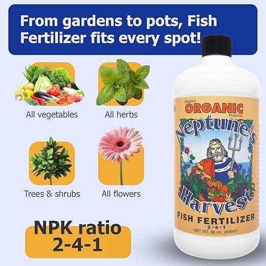 Neptune's Harvest Organic Plant Fertilizer | Liquid Fertilizer for Lawn Garden &amp Houseplant | Rich in Essential Nutrients | Hydrolyzed Fish 2-4-1 (Quart) + Tomato &amp Veg Plant Food 2-4-2 (Quar
