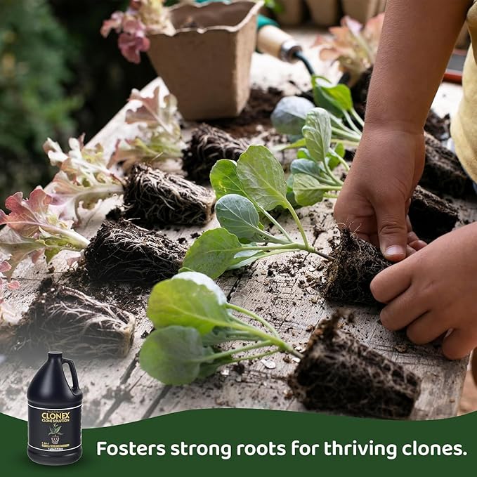 Clonex Clone Solution Professional-Grade Nutrient Formula for Seedlings Cuttings and General Use. Feeds Young Plants Helps Promote Growth &amp Rapid Root Development - 1 Quart