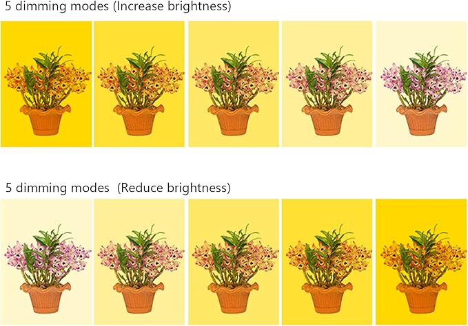 HAO 80 LED 4 Fead Grow Lights for Succulents USB Full Spectrum LED Grow Lamp with 8/12/16H Timing Function Adjustable Plant Growing Sun Lamp with Acrylic Supporter for Indoor Plants (Yellow)