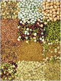 Handy Pantry Organic Sprouting Seed Assortments - Microgreens Sprout Seeds Variety Pack (12 Pack - Beginners Dozen)