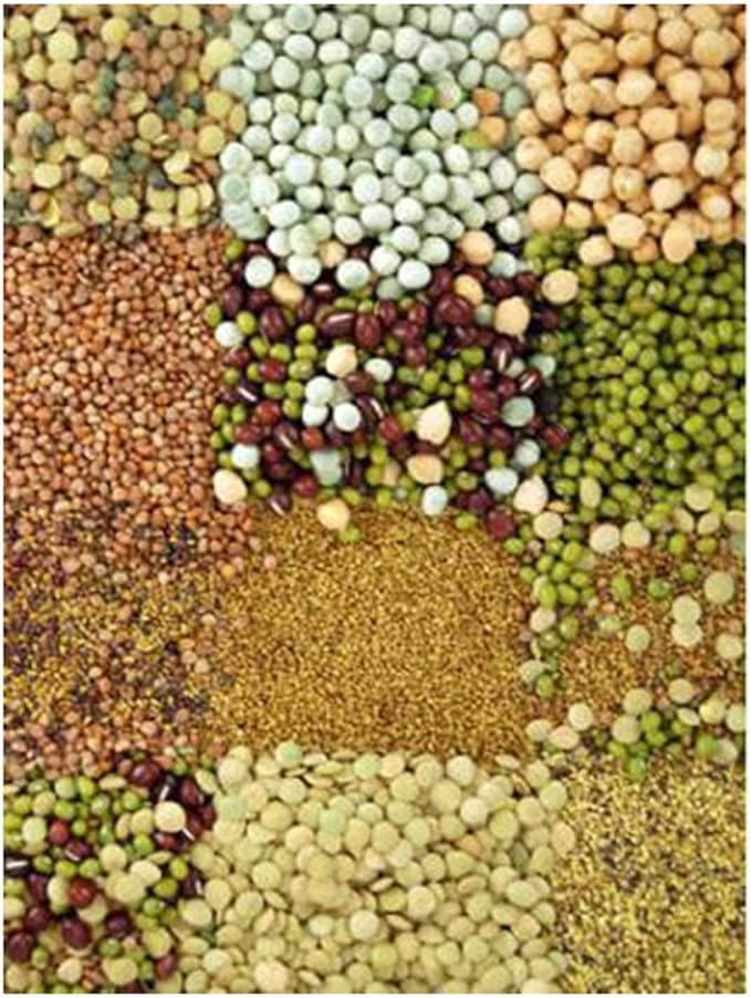 Handy Pantry Organic Sprouting Seed Assortments - Microgreens Sprout Seeds Variety Pack (12 Pack - Beginners Dozen)