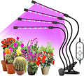 LED Grow Light USB Phyto Lamp Full Spectrum with Control Phytolamp for Plants Seedlings Flower Home Tent