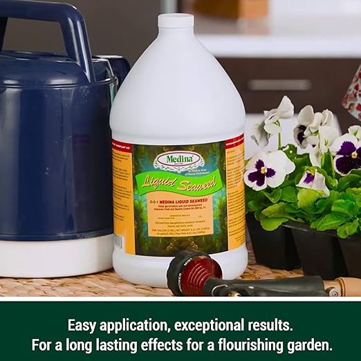 Medina Liquid Seaweed Fertilizer for Plants - Concentrated Seaweed Fertilizer for Lawn and Garden - Enhances Plant Growth and Soil Health - Ready to Spray - 1 Gallon Covers 64000 Sq. Ft.