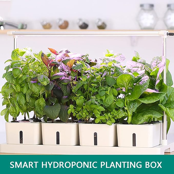 Hydroponics Growing System Indoor Herb Garden with 3 Kinds of Led Grow Light 20h Timer 75cm Adjustable Light Stand Separate Planting Box Water Inlet Design Smart Garden Hydroponic