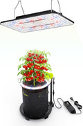 LED Grow Light Kit for Seed Start and Vegetable UAP800 80W Grow Light and Saturn240 24W Under-Canopy Grow Lights for 2x2ft/3x3ft Grow Tent