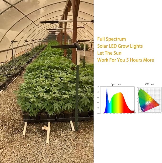 BSOD Solar Grow Lights for Outdoor Plants Cordless Full Spectrum Growing Led Greenhouse Lamp with Timer Auto Remote Wireless Waterproof2in1 Motion Sensor Street &amp Plant Light