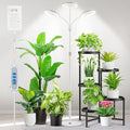 Grow Lights for Indoor Plants 3 Head Full Spectrum Plant Light with 68 Adjustable Stand for Growing Large Tall Plants White Halo Floor LED Grow Lamp with 16 Hour Timer