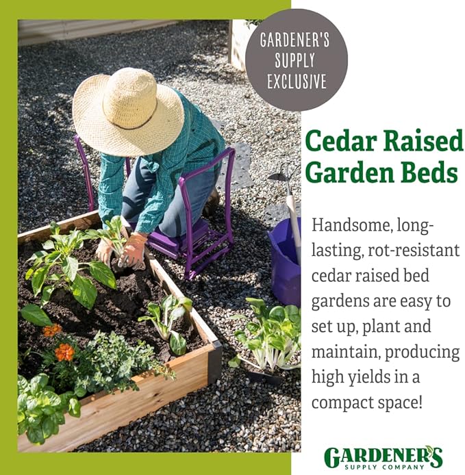 Gardener's Supply Company Cedar Raised Garden Bed | Weather Resistant Outdoor Square Planter Box for Plants Herbs Flowers &amp Vegetables with Rust-Proof Aluminum Corners