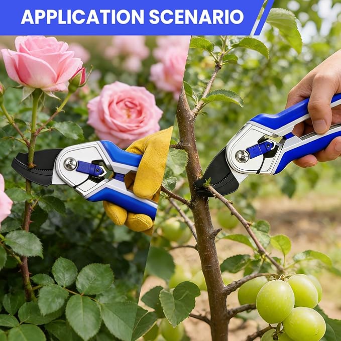 Garvee Professional Pruning Shears &amp Garden Shears Set | Stainless Steel Blades with Ergonomic Comfort Grip | Essential Gardening Tools for Women &amp Plant Care Enthusiasts