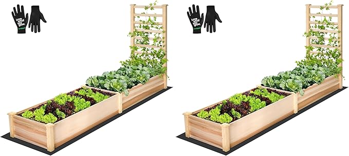 VIVOSUN Wooden Raised Garden Bed 48 x 24 x 30 Inches Outdoor Wood Planter Box with Gloves and a Liner with Trellis for Vine Climbing for Garden Patio Balcony Backyard and Outdoors (Pack of 2)