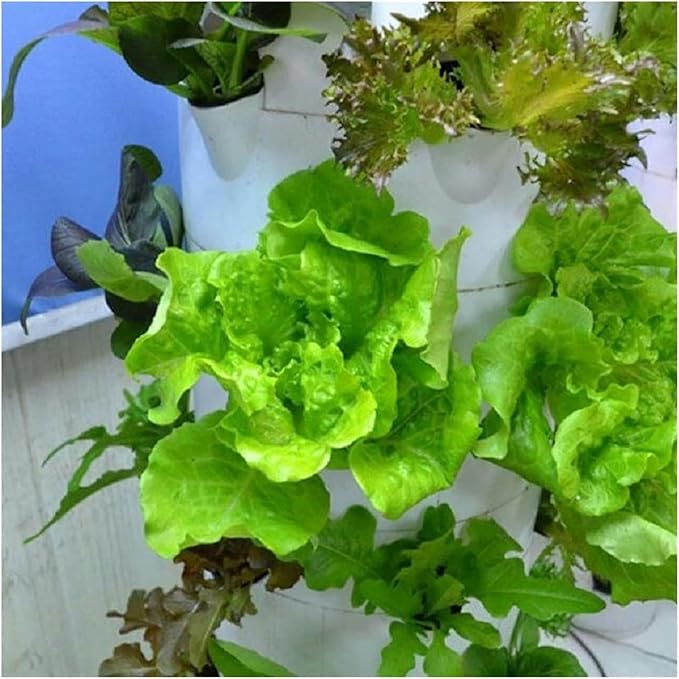 Garden Hydroponic Growing Vertical Tower Automate Aeroponics Mini Indoor Outdoor Home Grow Without Led LightHydroponic Growing Kits Syste