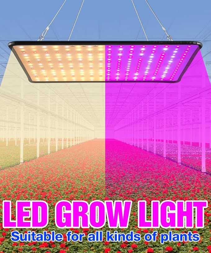 2PCS 800W Power Red-Blue Plant Grow Lights AC110V (100-277V Compatible) Sun like Indoor Bloom/Fruiting Supplemental Lighting Optimized Spectrum Greenhouse Hydroponic Flower Fruit Potting Panel Lamps