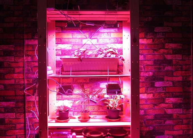 ACKE LED Grow Lights Full SpectrumPlant LightsGrowing Lamps 12W for Indoor PlantsHydropoincs