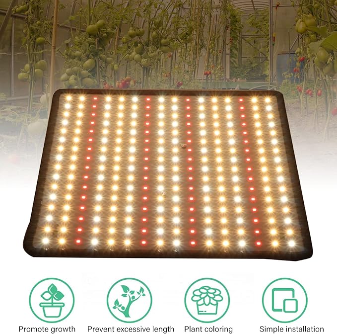 1000W LED Grow Light Promoting Growth Energy Saving LED Plant Grow Light Professional Red and Blue Spectrum Plant Light for Indoor Plants Greenhouse(US)