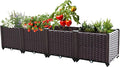 Raised Garden Bed Planters for Outdoor Plants Raised Beds for Gardening Plastic Planter Raised Beds for Planting Outdoor Plant Vegetables Flowers Fruits and Plants 63(L) x 15.7(W) x 14.5(H)