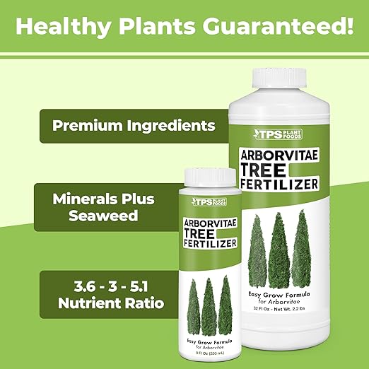 Arborvitae Tree Fertilizer – Liquid Plant Food for Fuller Green Foliage Faster Growth &amp Stronger Root Development 1 Gallon