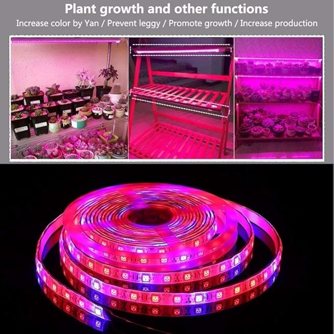 Fengyan Landscape Lights 5050 Led Grow Light Phyto Lamp for Plants Led Strip for Plants Grow Phytolamp for Seedlings Phyto Lamp for Plants Growing Growth LED Street Lamp