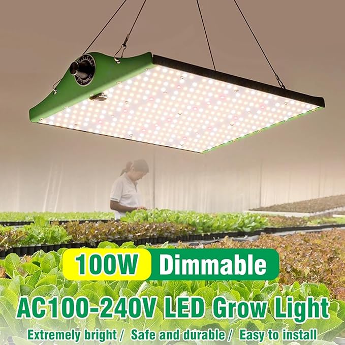 1000W LED Grow Lights for Indoor Plants Full Spectrum Veg Bloom Daisy Chain 3 Modes Timer Dimmable Plant Light for Hydroponic Indoor Plants Seeding Veg FlowerGreen