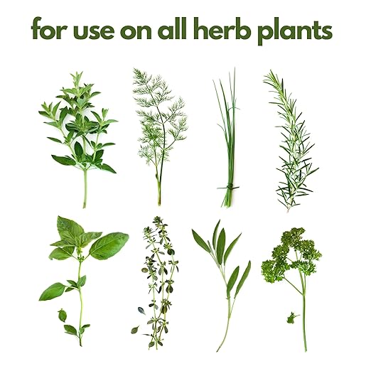Fertilizer for Herbs Happy Herb Organic Fertilizer by Happy Nutrients – Plant Food for Basil Mint Cilantro Rosemary Thyme &amp More – Macro &amp Micro Nutrients for Home Gardens – 12 oz (0.34 kg