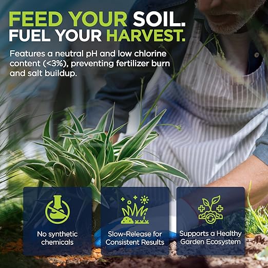 Supply Solutions | 0-0-22 Pro-Mag Trio - High Potassium Magnesium &amp Sulfur Fertilizer for Lawns Turf Palm &amp Fruit Trees - Water-Soluble Plant Food for Stronger Growth &amp Higher Yields (1