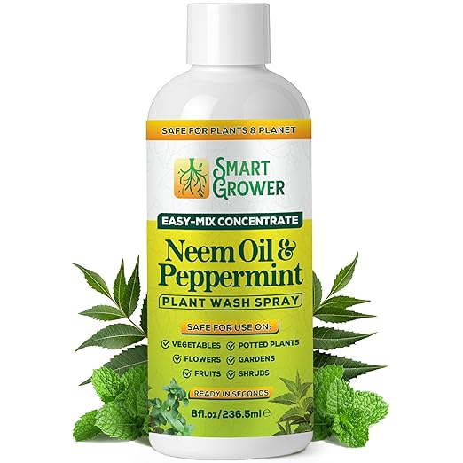 Neem Oil Spray for Plants with Peppermint Oil – for Indoor &amp Outdoor Plants Gardens &amp Houseplants– Best Value Refill 8 oz Concentrate Makes 1 Gallon RTU
