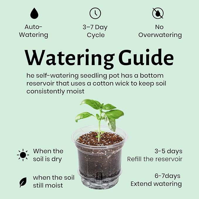 12 Pack 6.5 Inch Clear Self Watering Plant Pots with Bottom Water Tray &amp Watering Rope Transparent Nursery Pots with Drainage for Seedlings Herbs and Houseplants