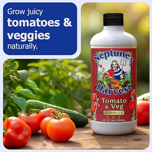 Neptune's Harvest Organic Plant Fertilizer | Liquid Fertilizer for Lawn Garden &amp Houseplant | Rich in Essential Nutrients | Hydrolyzed Fish 2-4-1 (Quart) + Tomato &amp Veg Plant Food 2-4-2 (Quar