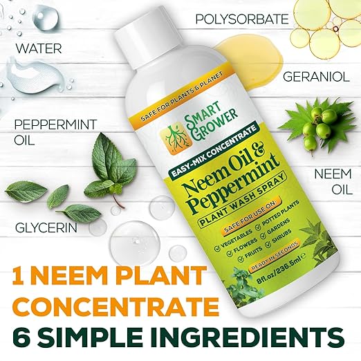 Neem Oil Spray for Plants with Peppermint Oil – for Indoor &amp Outdoor Plants Gardens &amp Houseplants– Best Value Refill 8 oz Concentrate Makes 1 Gallon RTU