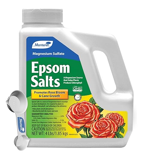 Monterey Epsom Salts Magnesium Sulfate Bundled with Measuring Spoon – 4lbs – Promotes Rose Bloom &amp Cane Growth Enhances Chlorophyll Production Boosts Phosphorus Absorption