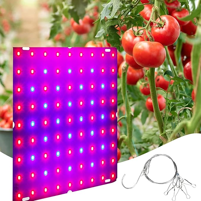 LED Plant Lamp with 169 Red and Blue LEDs Thin Full Spectrum Panel Grow Light for Hydroponics Indoor Plants Greenhouses Succulents Vegetables and Flowers