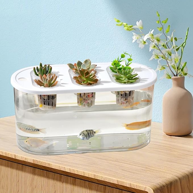 Hydroponics Grower Box Desktop Micro Landscape Tank with 6 Holes Indoor Tabletop Mini Aquarium for Vegetables Plants and Fish- White