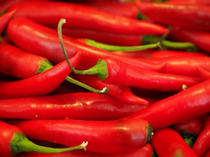 Hot Pepper Chili Pepper Seeds Collection (6 Types) Bird's Eyes Cayenne Fresno Jalapeno Habanero Serrano Red Hot Organic Heirloom Non GMO Seed for Planting (100)