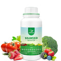 Organic Seaweed Booster Plant Nutrient Concentrate Kelp Lawn and Plant Concentrate Liquid Fertilizer for All Plants Non-Toxic and Safe Help Plants Healthy Growth and Recover from Stress