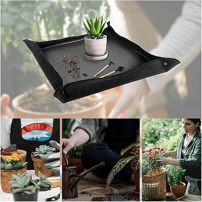 13 Pieces Succulent Plant Tools Mini Hand Garden Tools with Transplanting Tarp Hand Tools Set for Indoor Miniature Fairy Garden Plant Care (Color : Black Size : 75 * 75cm)