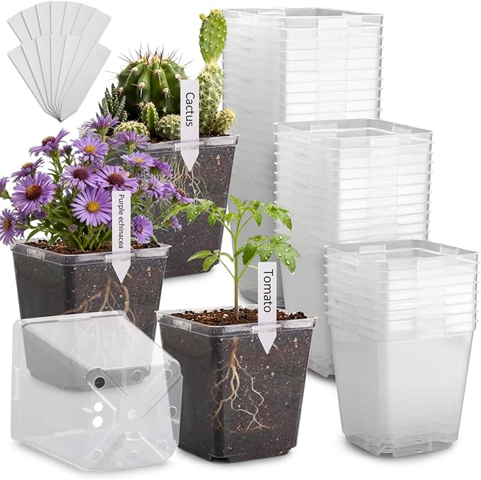 5.5 Inch Clear Square Nursery Pots with Drainage &amp Labels 30Pcs Reusable Seed Starter Pots for Vegetables Indoor Outdoor Gardening Thick Transparent Plastic Plant Pots for Seed Starting
