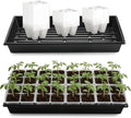 5 Pack Heavy Duty 1020 Trays and 40 Pack Clear 4 Cell Seed Starter Trays with Drainage Holes - Reusable Seed Starter Kit for Seed Germination &amp Plant Propagation (5 Sets)