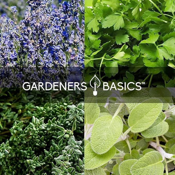 Ultimate Survival Seed Kit – 140 Heirloom Non-GMO Varieties | Over 73000 Seeds for Planting Vegetables Herbs &amp Flowers | Emergency Food Preparedness &amp Long-Term Storage