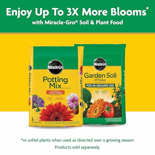 Miracle-Gro Water Soluble All Purpose Plant Food - Fertilizer For All Indoor or Outdoor Plants including Roses Flowers Vegetables Houseplants Trees and Shrubs 6.25 lbs.