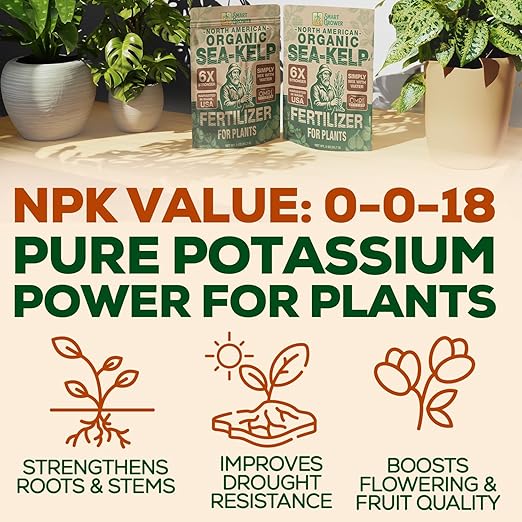 Organic Sea Kelp Fertilizer for Plants – Water-Soluble – Makes 200 Gallons – Kelp Meal Concentrate Plant Food – for Indoor Gardens Hydroponics Vegetables Houseplants - Smart Grower - 8oz Bag
