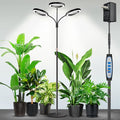 Garpsen Halo Floor Grow Light Three-Head Full Spectrum LED Plant Light with Base 5 Dimmable Levels &amp Timer 6/12/16H 3 Color Modes Grow Lamp with 252 LEDs 67''Height Adjustable for Large Plants