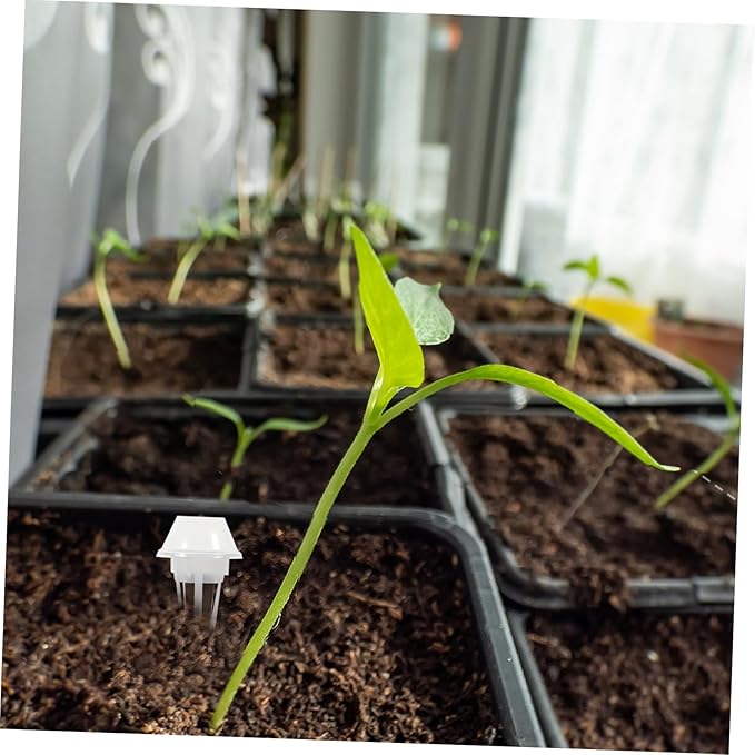1 Set Hydroponic Growing System Indoor Gardening Set with Transparent Humidity Domes Planting Sponges and Labels for Seed Germination and Plant Growth