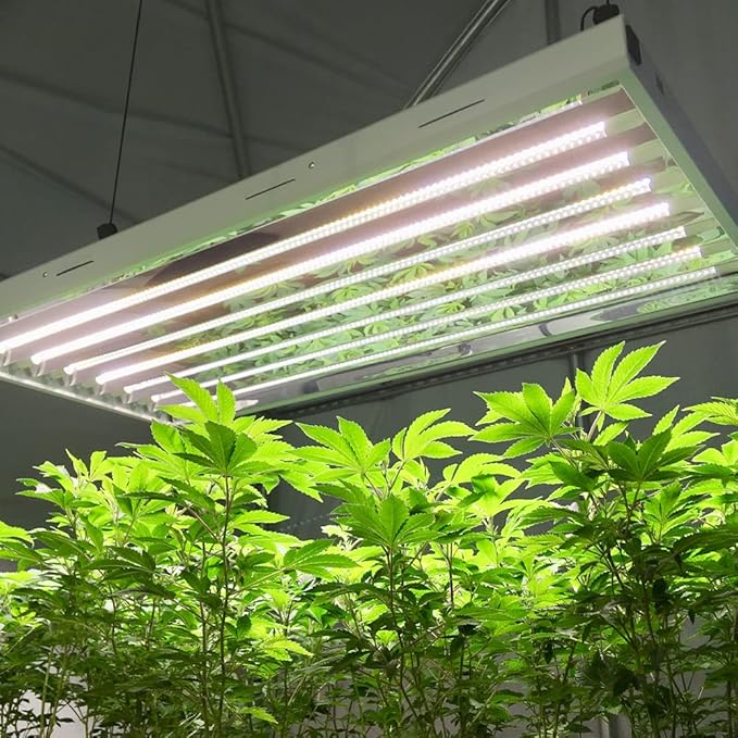Active Grow T5 High Output 4FT LED Grow Light Bulb - T5 Grow Lights for Indoor Plants Veg Bloom Leafy Greens &amp Microgreens - 24W - Sun White Full Spectrum High CRI 95 - Plug &amp Play - 4-Pack